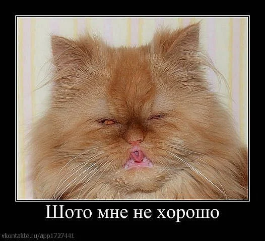 x 80faec76