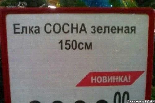 x ec84d8bd