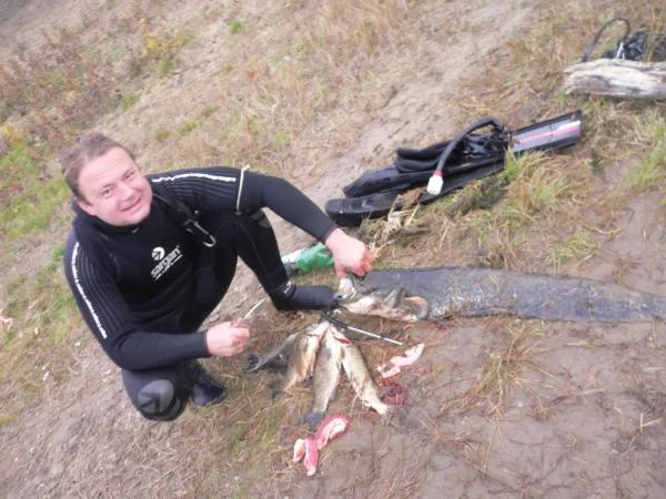 Юркин сомик