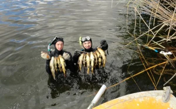 за полчаса