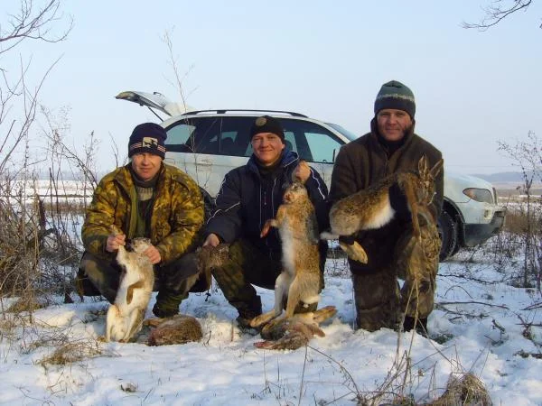 Зайцев погоняли.
