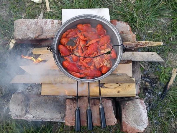 Закуска...