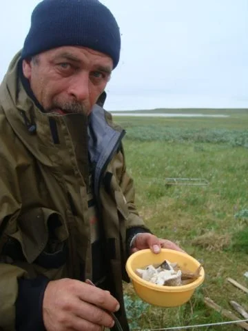Завтрак на привале