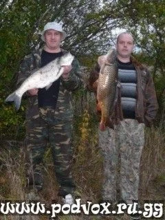 жерех 5, сазан 6,5