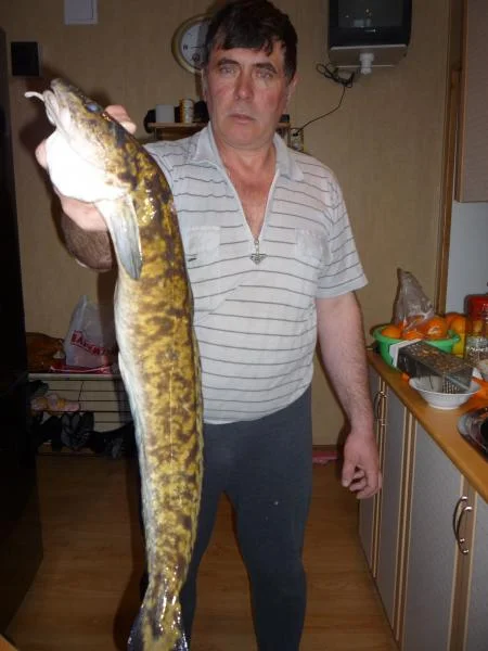 Зимой и это рыба!