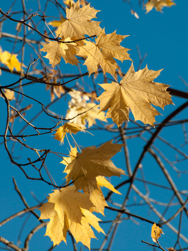 0_8c8cb_36a539c_XL.jpg