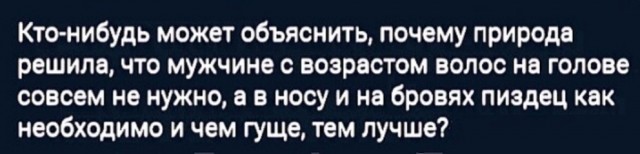 15666513.jpg