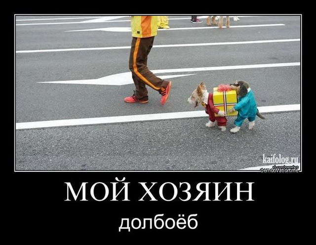 1347936328_040.jpg