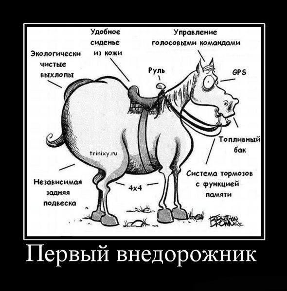 demotivators_03.jpg