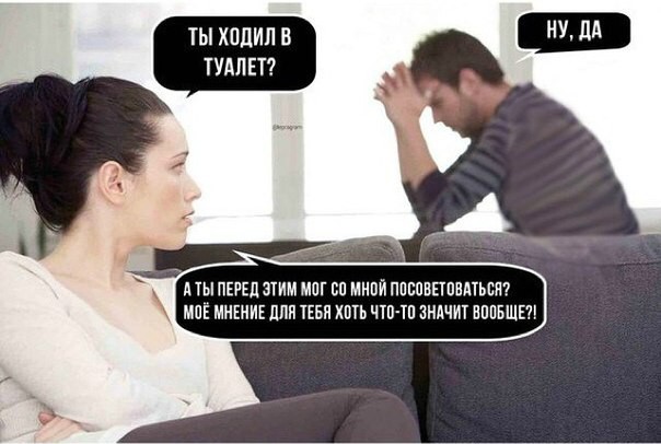 3539443.jpg