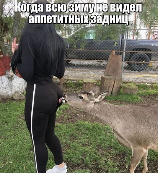 1jOT8iDRLGc.jpg