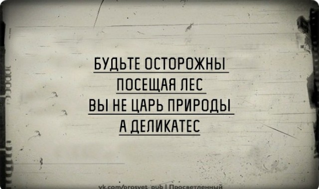15432326.jpg