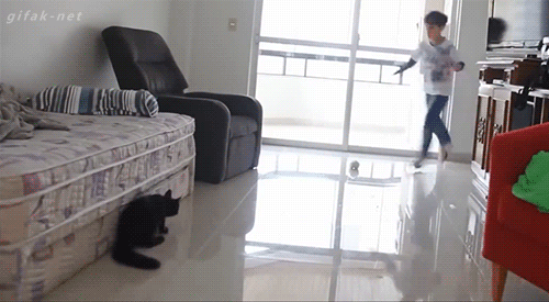 tumblr_nmue5ciJD01s2yegdo1_500.gif
