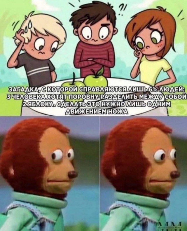 17573139.jpg