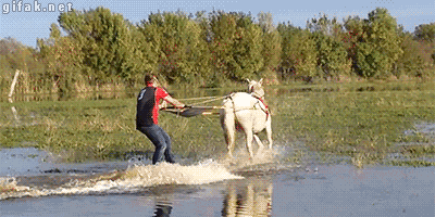 tumblr_nhwgbde4H91s2yegdo1_400.gif