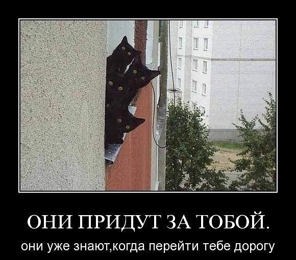 4d6f69af5ffa091859837fc62672968f.jpg