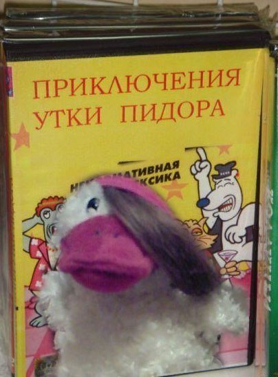 64294_original.jpg