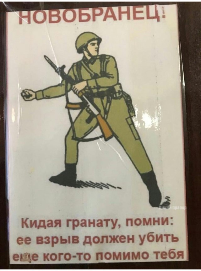 15303556.jpg