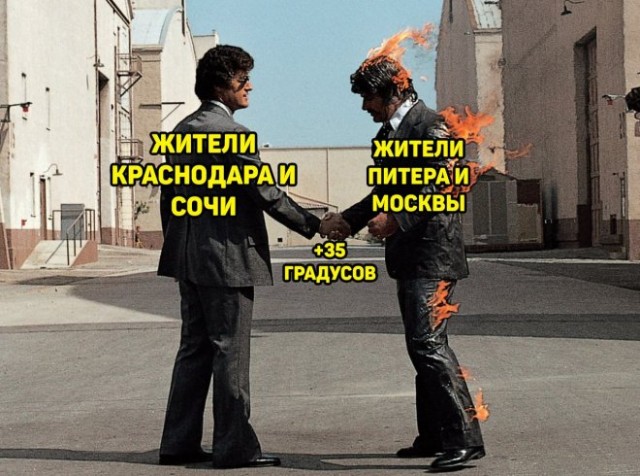 15679219.jpg