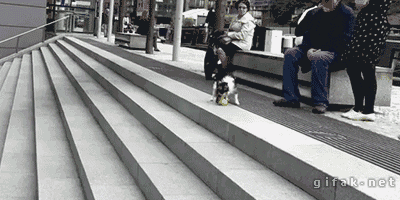tumblr_n4hszxliSQ1s2yegdo1_400.gif