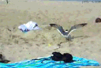 QCxpUv3.gif
