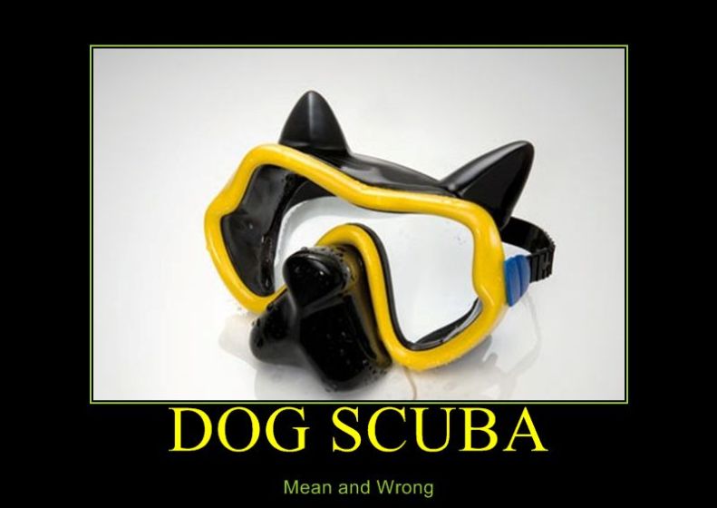 Scuba-Demotivational-Posters-9.jpg