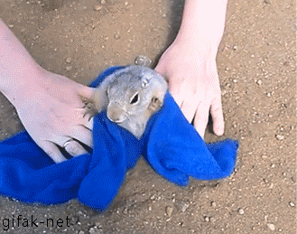 tumblr_naywtjmufL1s2yegdo1_r1_400.gif