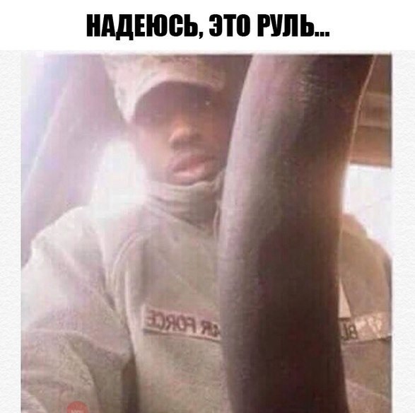 5194454.jpg