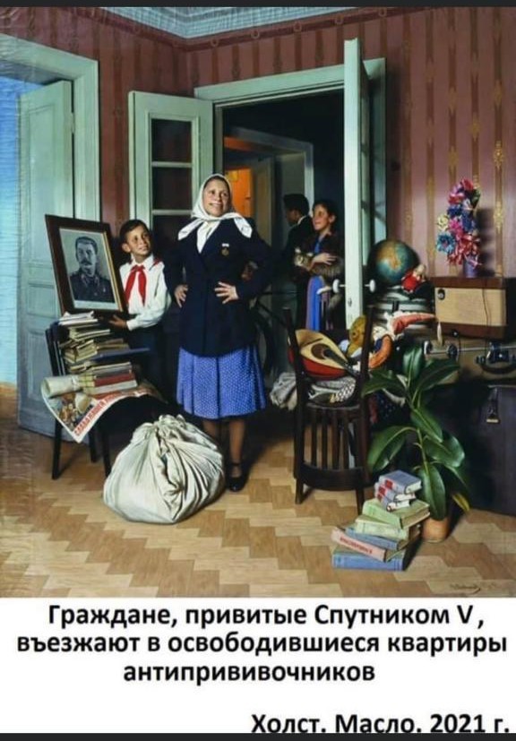 15663941.jpg