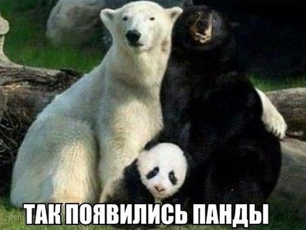 Nn8zqbo2UFI.jpg