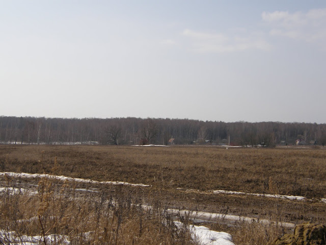 P3300301.JPG