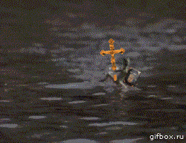 13381047407000.gif