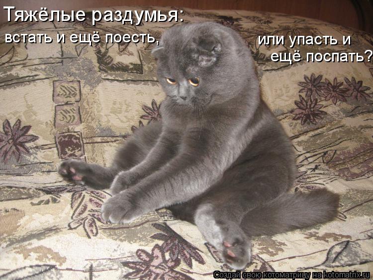 375643.jpg