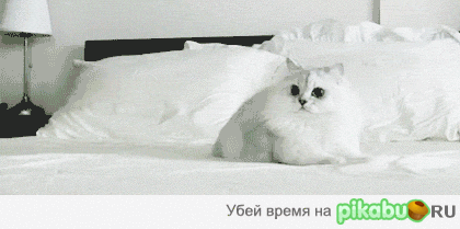 23b422.gif