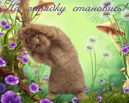 f_19376222.gif