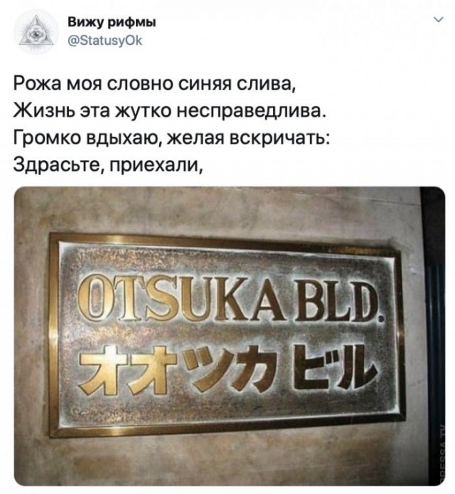15783814.jpg