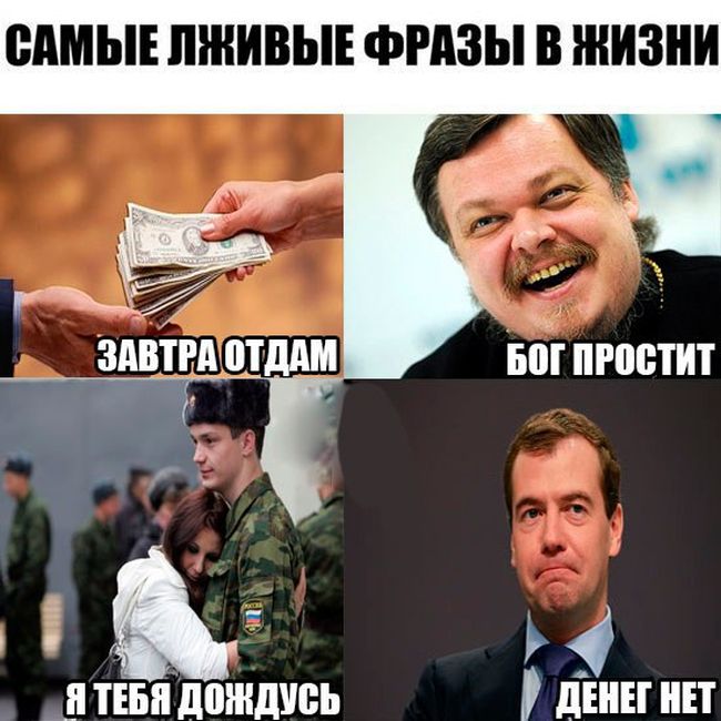 7868706.jpg