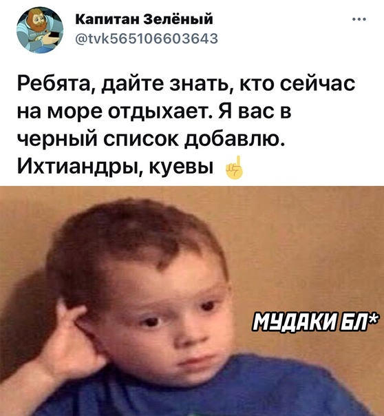15665118.jpg
