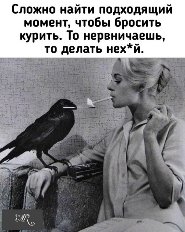 20597939.jpg