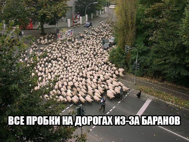 Qyi8MjT3e5M.jpg