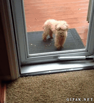 tumblr_muoaia39vl1s2yegdo1_400.gif