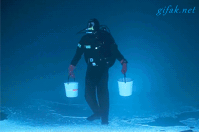 gifs_04.gif