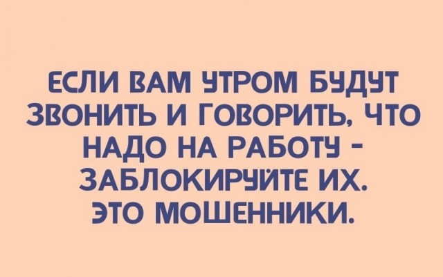 15697909.jpg