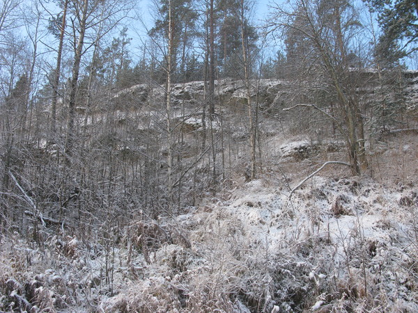 i-1100.jpg