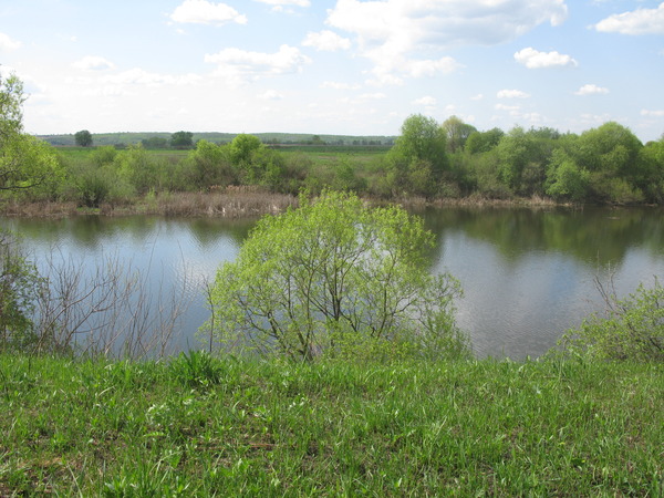 i-211.jpg