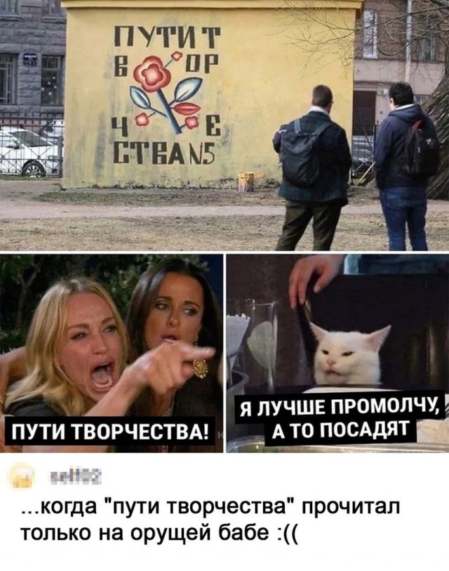15796820.jpg