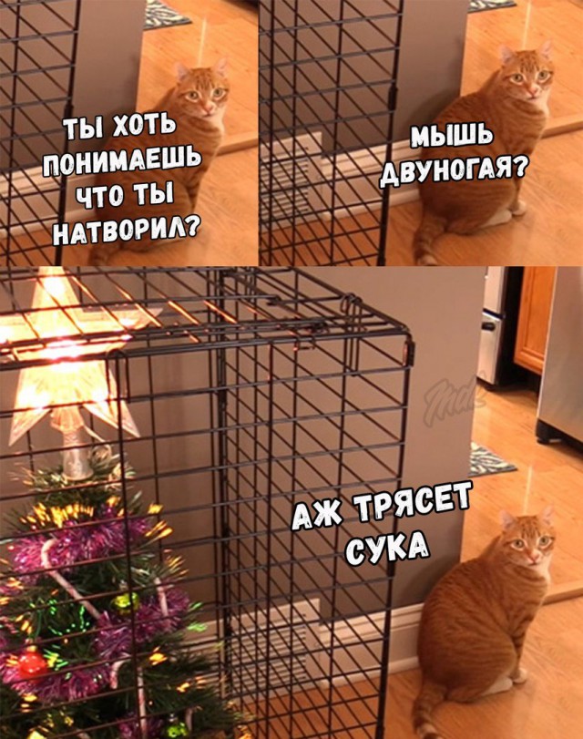 12356090.jpg