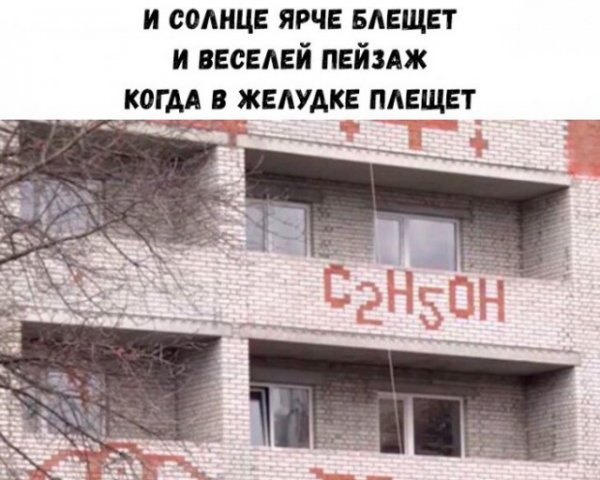 1561755164.jpg