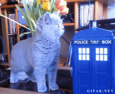 4.gif