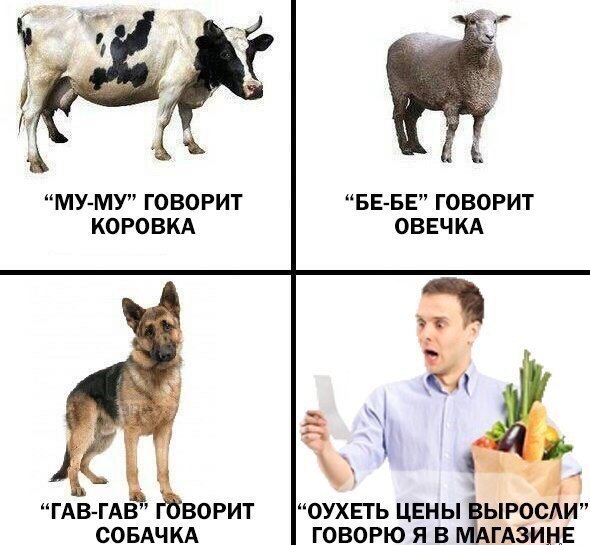 rNq_acSFE7g.jpg